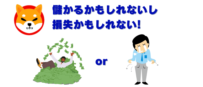 柴犬コインの投資メリットと注意点